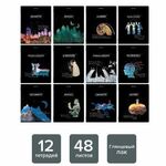 Тетради предметные, КОМПЛЕКТ 12 ПРЕДМЕТОВ, "СИЯНИЕ ЗНАНИЙ", 48 л., глянцевый УФ-лак, BRAUBERG, 404607