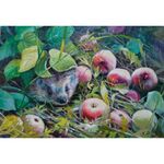 Картина стразами (алмазная мозаика) 30х40 см, ОСТРОВ СОКРОВИЩ "Ёжик", без подрамника, 662564