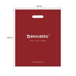 Пакет презентационно-упаковочный BRAUBERG, 32х40 см, усиленная ручка, 505499