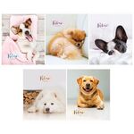 Тетрадь 96л., А5, клетка ArtSpace "Питомцы. The pets"