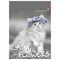 Блокнот А6, 40 л., гребень, ламинированный картон, клетка, Альт, "Котята", (5 видов), 3-40-028
