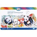 Карандаши цветные Гамма "Классические", 36цв, увелич. диаметр грифеля 3,3мм, заточен., метал. пенал