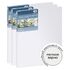 Набор холстов на подрамнике Гамма "Студия", 3шт., 40*50см, 100% хлопок, 280г/м2, мелкое зерно