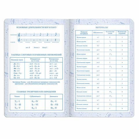 Дневник для музыкальной школы 140х210 мм, 48 л., обложка кожзам твердая, фольга, BRAUBERG, справочный материал, темно-синий, 105500