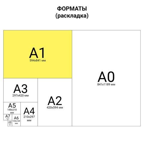 Ватман А1 (610х860 мм), 1 лист, плотность 200 г/м2, ГОЗНАК С-Пб, упаковка по 100 листов, водяной знак