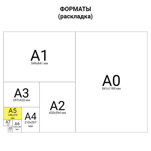 Тетрадь А5 48 л. АЛЬТ скоба, клетка, Soft Touch, фольга, "ФЛАМИНГО" (5 видов), 7-48-730