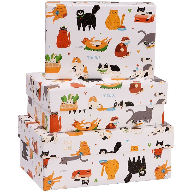 Набор прямоугольных коробок 3в1, MESHU "World of Cats", (19*12*7,5-15*10*5см)