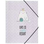 Папка на резинке MESHU "Right cat" А4, 500мкм