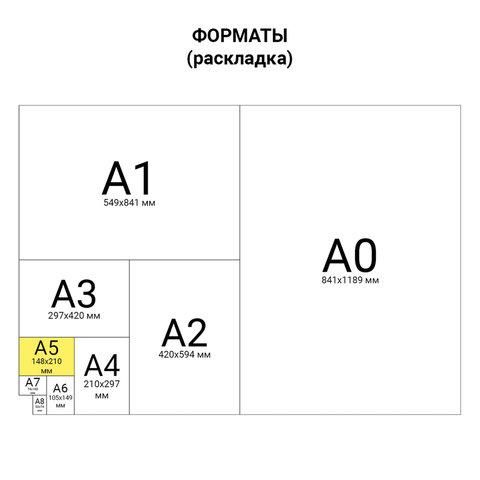 Тетрадь бумвинил, А5, 96 л., скоба, офсет №2 ЭКОНОМ, клетка, с полями, STAFF, ЗЕЛЕНЫЙ, 403416