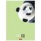Тетрадь А4 96 л. HATBER скоба, клетка, матовая ламинация, "Кто здесь?" (3 вида), 96Т4лВ1