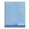 Тетрадь А5, 48 л., BRAUBERG, гребень, клетка, обложка картон, ОДНОТОННАЯ, 401871