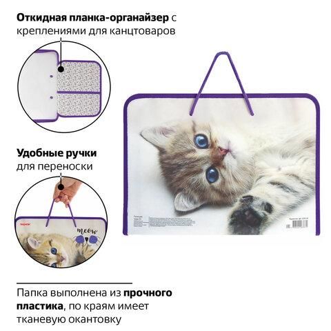 Папка для труда на молнии с ручками ПИФАГОР, А4, 1 отделение, пластик, органайзер, "Kitten", 229135