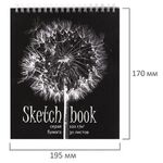 Скетчбук, серая бумага 120 г/м2, 170х195 мм, 30 л., гребень, подложка, цветная фольга, "Одуванчик", 98672