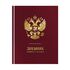 Дневник 1-11 кл. 48л. (твердый) ArtSpace Российского школьника, ляссе, матовая лам., тиснение фольгой