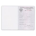 Бланк документа "Вкладыш в трудовую книжку", 88х125 мм, ГОЗНАК