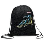 Мешок для обуви ПИФАГОР, 1 отделение, 40х32 см, "Space skater", 271600