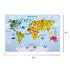 Настольное покрытие ПИФАГОР, А3+, пластик, 46x33 см, "Map", 270403