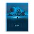 Дневник 1-11 кл. 40л. (твердый) ArtSpace "Interstellar", матовая ламинация