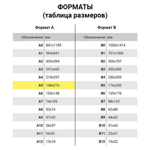 Бумага офисная МАЛОГО ФОРМАТА (148х210), А5, 80 г/м2, 500 л., марка А+, Германия, DATA COPY, 170% (CIE), 521839