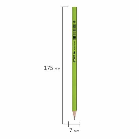 Карандаш чернографитный STAFF "Basic" BLP-743, 1 шт., НВ, пластиковый, корпус ассорти, 181743