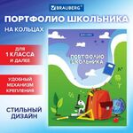 Папка-портфолио школьника/дошкольника "ШКОЛЬНАЯ ИСТОРИЯ", 4 кольца, обложка твёрдая матовая, BRAUBERG, 115241