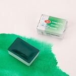 Краска акварель художественная "Белые ночи" зеленая светлая цв. №717 кювета 2,5мл