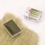 Краска акварель художественная "Белые ночи" земля зеленая цв. №730 кювета 2,5мл