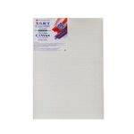 Холст грунтованный на подрамнике "Мастер-Класс", 30х50 см, 480 г/м2, 100% лён, акриловый грунт, крупное зерно