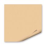 Бумага цветная "Folia" 130 г/м2, A4, бежевый темный цв.№64/2010 в упаковке 20 листов