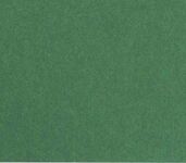 Бумага цветная "Folia" 300 г/м2, A4, зеленый еловый цв.№614/1058 в упаковке 10 листов