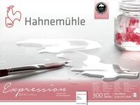 Hahnemuhle Альбом-склейка для акварели "Expression", 300 г/м2, 30х40 см, 100% хлопок, 20 л, среднее зерно