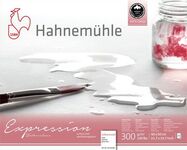 Hahnemuhle Альбом-склейка для акварели "Expression", 300 г/м2, 40х50 см, 100% хлопок, 20 л, среднее зерно