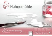 Hahnemuhle Альбом-склейка для акварели "Harmony", 300 г/м2, А4, целлюлоза 100%, 12 л, среднее зерно