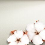 Бумага для акварели Hahnemühle «Watercolour» 300 г/м2, 56х76 см, 10 л, 100% хлопок, гладкая