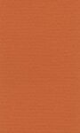 Бумага для пастели "Lana" Lana Colours цв. оранжевый, 160 г/м², 21х29,7 см, 25л