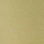 Sennelier Бумага для пастели Pastel Card, 65х50 см, 10л/уп, светло-зеленый