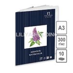 Папка для акварели серия (цветы) "Сирень", 300 г/м2, А3, 10 л, молочный