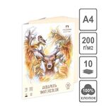 Папка для акварели "Король Олень" 200 г/м2, А4, 10 л, слоновая кость, хлопок 100%