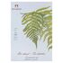 Планшет для эскизов «Ботанический сад» (Папоротник), 140 г/м2, А4, 30 л, светло-голубой